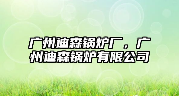 廣州迪森鍋爐廠，廣州迪森鍋爐有限公司