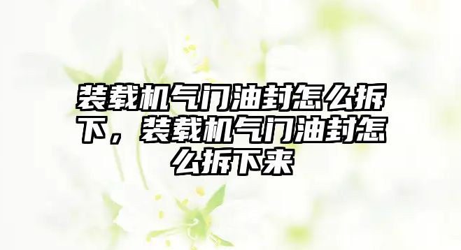 裝載機氣門油封怎么拆下，裝載機氣門油封怎么拆下來