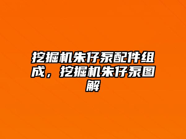 挖掘機朱仔泵配件組成，挖掘機朱仔泵圖解