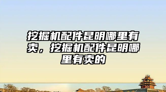 挖掘機配件昆明哪里有賣，挖掘機配件昆明哪里有賣的