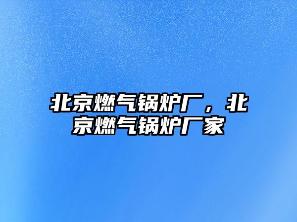 北京燃?xì)忮仩t廠，北京燃?xì)忮仩t廠家