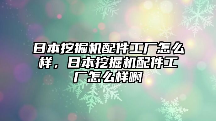 日本挖掘機配件工廠怎么樣，日本挖掘機配件工廠怎么樣啊