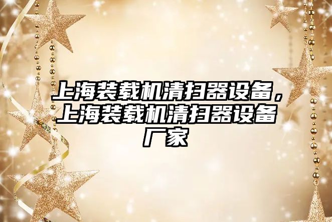 上海裝載機清掃器設備，上海裝載機清掃器設備廠家