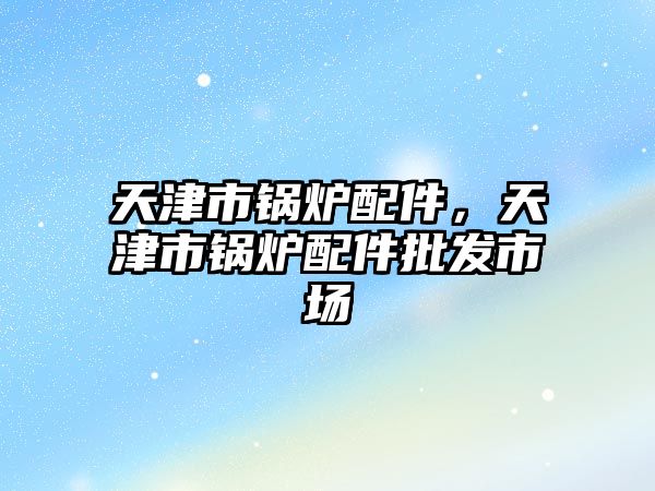 天津市鍋爐配件，天津市鍋爐配件批發(fā)市場