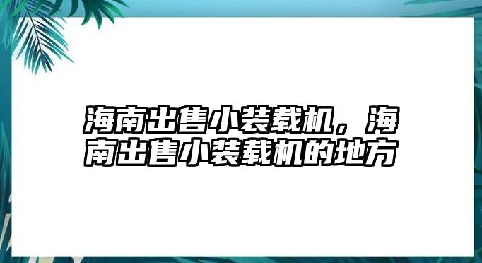 海南出售小裝載機，海南出售小裝載機的地方