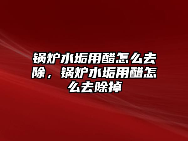 鍋爐水垢用醋怎么去除，鍋爐水垢用醋怎么去除掉