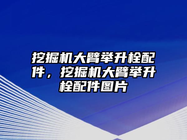 挖掘機大臂舉升栓配件，挖掘機大臂舉升栓配件圖片