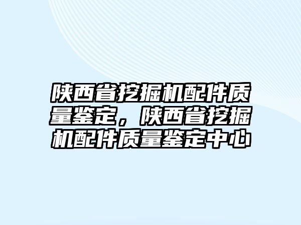 陜西省挖掘機配件質量鑒定，陜西省挖掘機配件質量鑒定中心