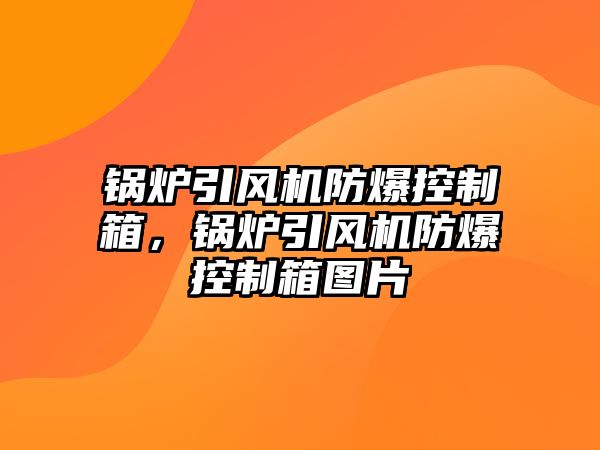 鍋爐引風機防爆控制箱，鍋爐引風機防爆控制箱圖片