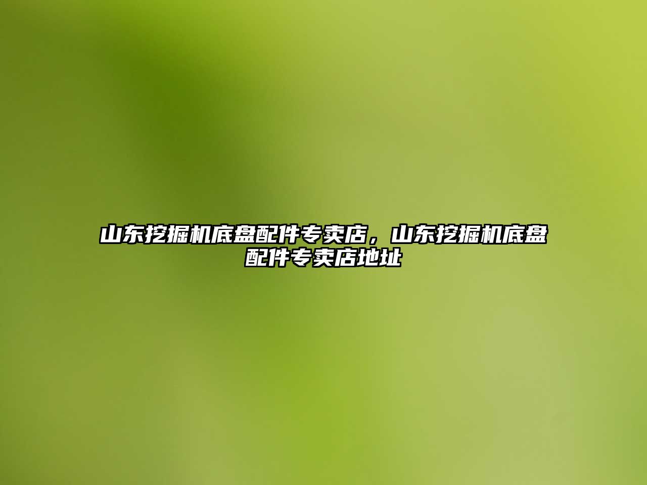 山東挖掘機底盤配件專賣店，山東挖掘機底盤配件專賣店地址