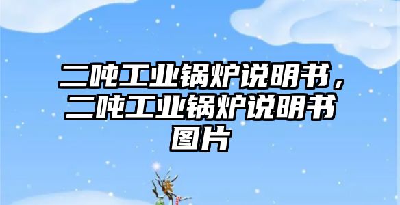 二噸工業(yè)鍋爐說(shuō)明書，二噸工業(yè)鍋爐說(shuō)明書圖片