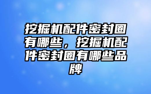 挖掘機(jī)配件密封圈有哪些，挖掘機(jī)配件密封圈有哪些品牌