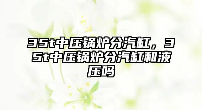 35t中壓鍋爐分汽缸，35t中壓鍋爐分汽缸和液壓嗎