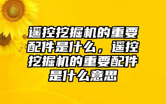 遙控挖掘機的重要配件是什么，遙控挖掘機的重要配件是什么意思