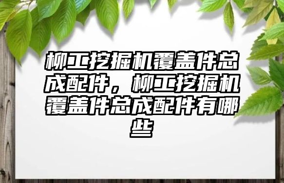 柳工挖掘機覆蓋件總成配件，柳工挖掘機覆蓋件總成配件有哪些