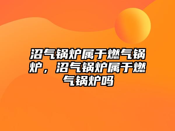 沼氣鍋爐屬于燃氣鍋爐，沼氣鍋爐屬于燃氣鍋爐嗎