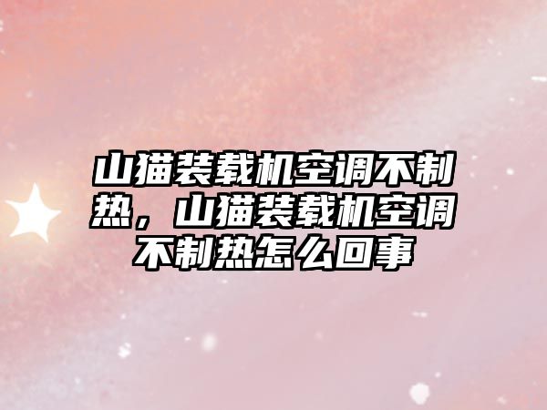 山貓裝載機空調不制熱，山貓裝載機空調不制熱怎么回事