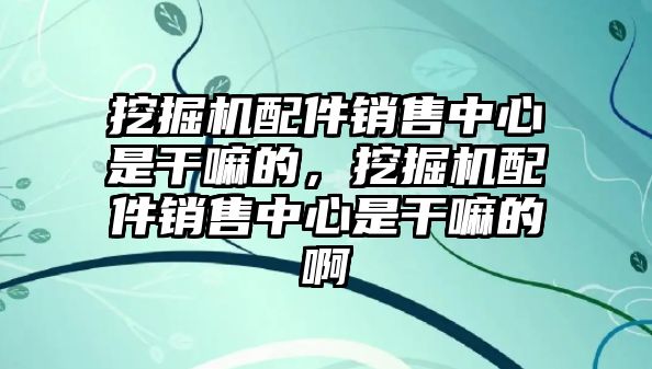 挖掘機配件銷售中心是干嘛的，挖掘機配件銷售中心是干嘛的啊