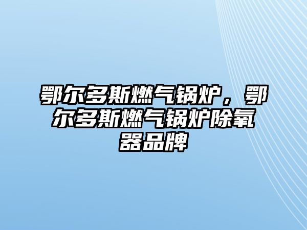 鄂爾多斯燃?xì)忮仩t，鄂爾多斯燃?xì)忮仩t除氧器品牌