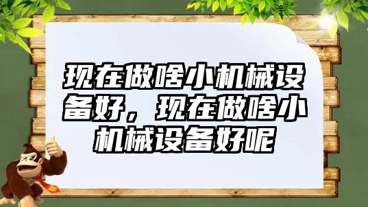 現(xiàn)在做啥小機(jī)械設(shè)備好，現(xiàn)在做啥小機(jī)械設(shè)備好呢