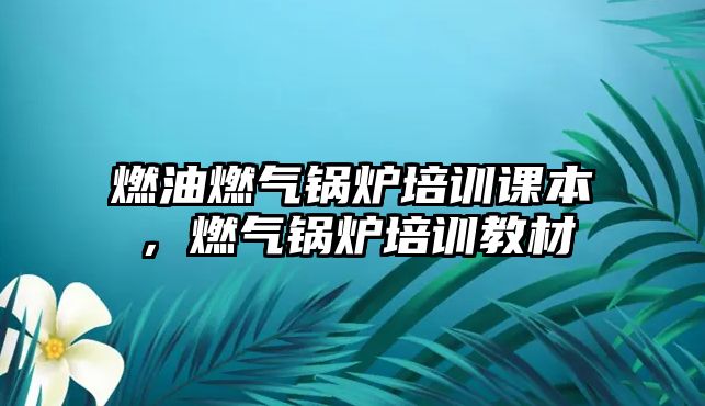 燃油燃?xì)忮仩t培訓(xùn)課本，燃?xì)忮仩t培訓(xùn)教材