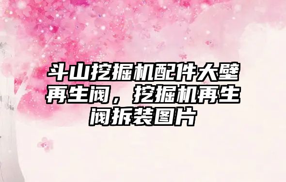 斗山挖掘機配件大壁再生閥，挖掘機再生閥拆裝圖片