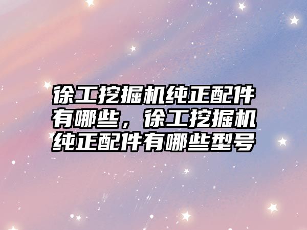 徐工挖掘機純正配件有哪些，徐工挖掘機純正配件有哪些型號