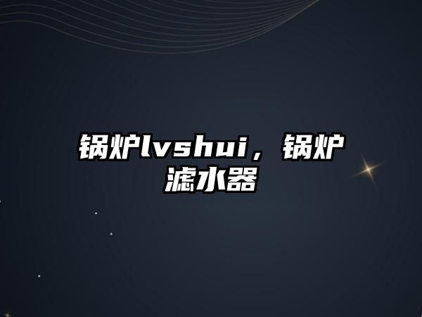 鍋爐lvshui，鍋爐濾水器