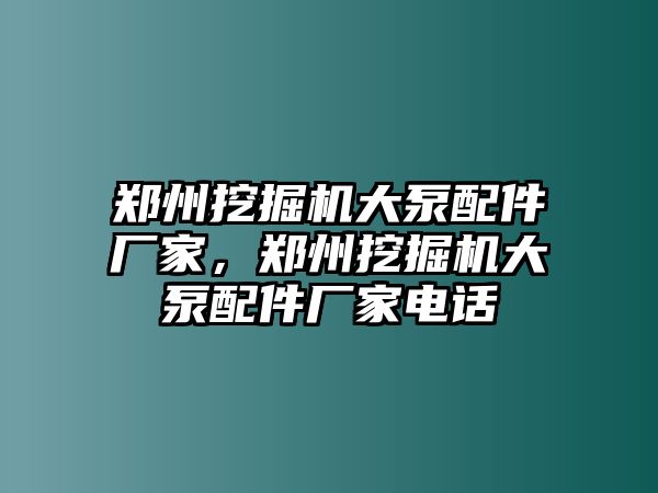 鄭州挖掘機大泵配件廠家，鄭州挖掘機大泵配件廠家電話