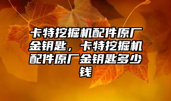 卡特挖掘機配件原廠金鑰匙，卡特挖掘機配件原廠金鑰匙多少錢