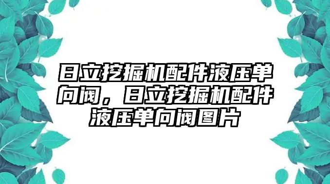 日立挖掘機(jī)配件液壓?jiǎn)蜗蜷y，日立挖掘機(jī)配件液壓?jiǎn)蜗蜷y圖片