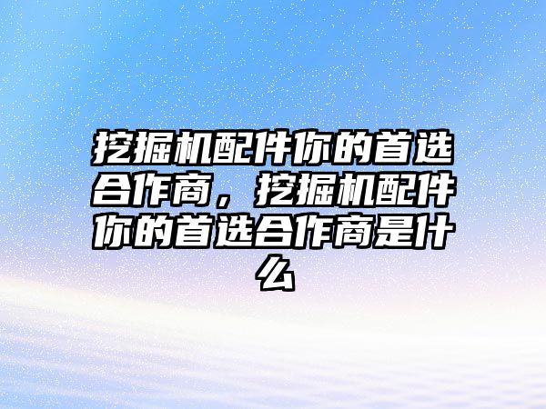 挖掘機配件你的首選合作商，挖掘機配件你的首選合作商是什么