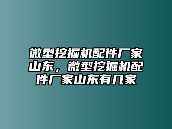 微型挖掘機(jī)配件廠家山東，微型挖掘機(jī)配件廠家山東有幾家