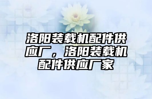 洛陽裝載機配件供應(yīng)廠，洛陽裝載機配件供應(yīng)廠家