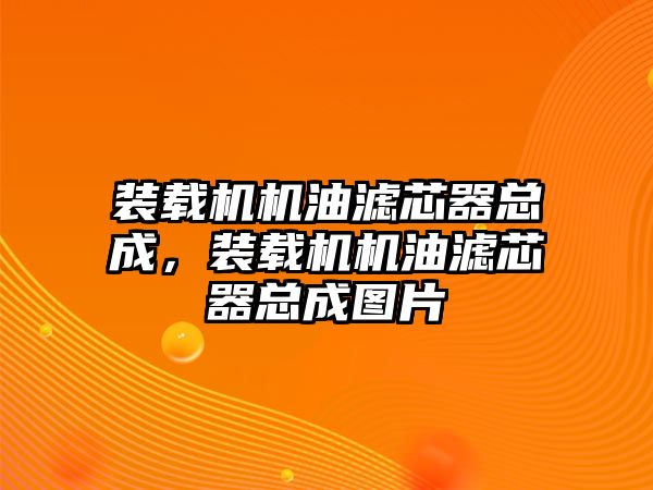 裝載機機油濾芯器總成，裝載機機油濾芯器總成圖片