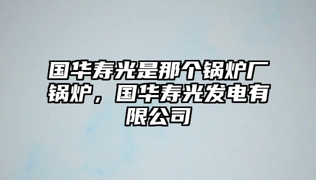 國華壽光是那個鍋爐廠鍋爐，國華壽光發電有限公司