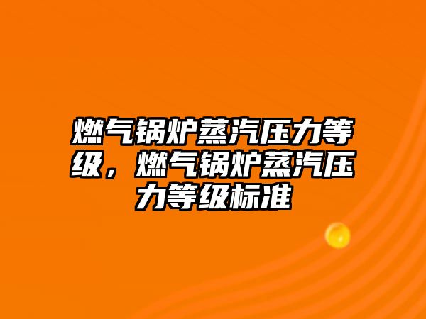 燃氣鍋爐蒸汽壓力等級，燃氣鍋爐蒸汽壓力等級標準