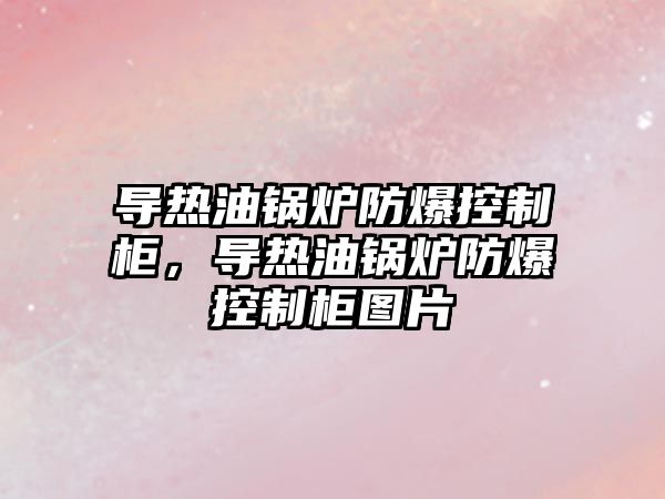 導熱油鍋爐防爆控制柜，導熱油鍋爐防爆控制柜圖片