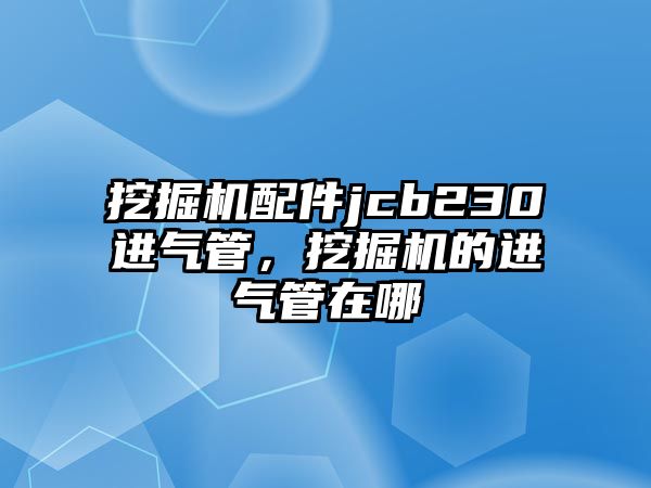 挖掘機配件jcb230進氣管，挖掘機的進氣管在哪