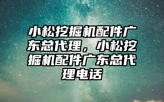 小松挖掘機配件廣東總代理，小松挖掘機配件廣東總代理電話