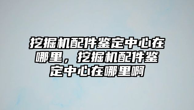 挖掘機配件鑒定中心在哪里，挖掘機配件鑒定中心在哪里啊