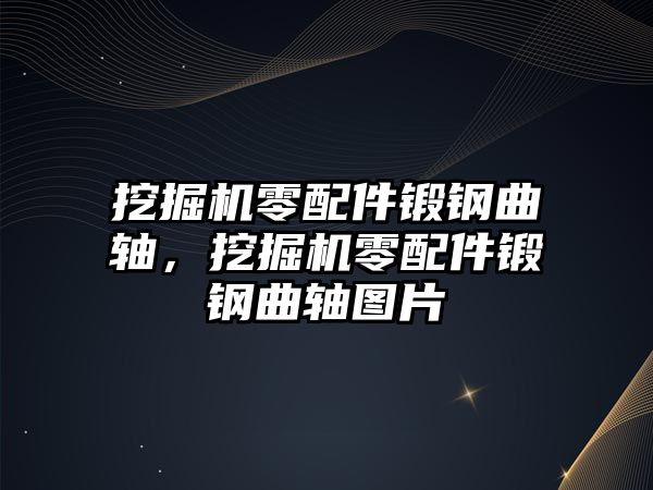 挖掘機零配件鍛鋼曲軸，挖掘機零配件鍛鋼曲軸圖片