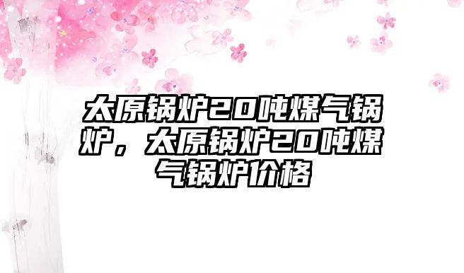 太原鍋爐20噸煤氣鍋爐，太原鍋爐20噸煤氣鍋爐價(jià)格