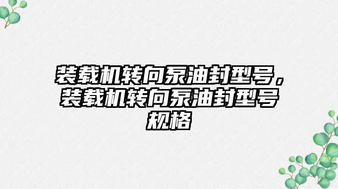 裝載機轉向泵油封型號，裝載機轉向泵油封型號規(guī)格