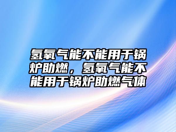 氫氧氣能不能用于鍋爐助燃，氫氧氣能不能用于鍋爐助燃?xì)怏w