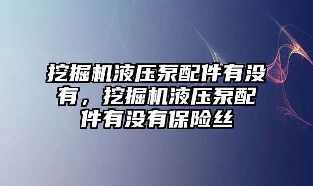 挖掘機(jī)液壓泵配件有沒有，挖掘機(jī)液壓泵配件有沒有保險(xiǎn)絲