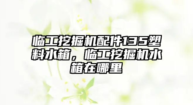 臨工挖掘機配件135塑料水箱，臨工挖掘機水箱在哪里