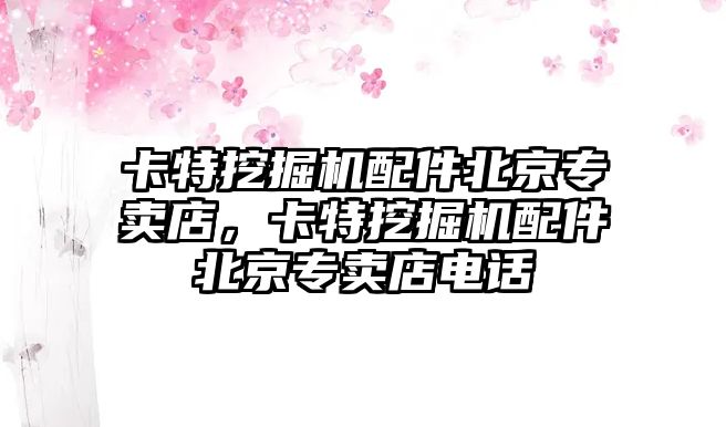 卡特挖掘機配件北京專賣店，卡特挖掘機配件北京專賣店電話