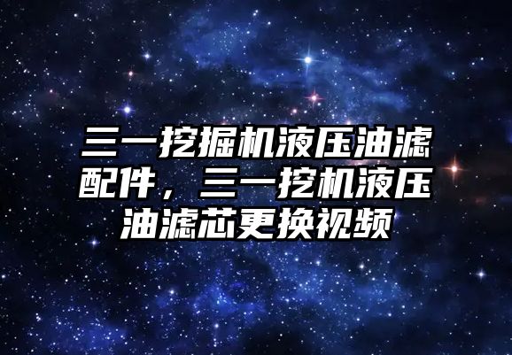 三一挖掘機液壓油濾配件，三一挖機液壓油濾芯更換視頻