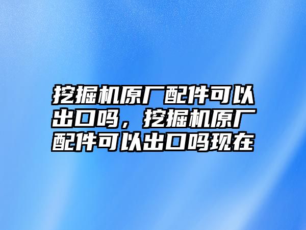 挖掘機原廠配件可以出口嗎，挖掘機原廠配件可以出口嗎現在